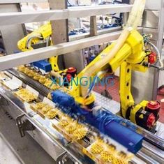 Packing 6 Axis Digunakan Robot Industri Dengan Lengan Robot Manipulator Tangan Payload 12kg